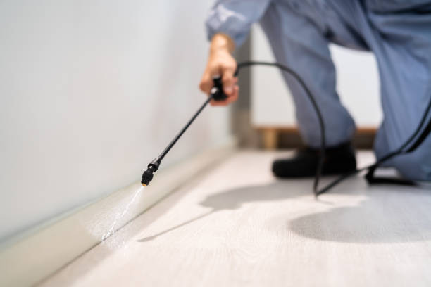 Licensed Pest Control service in Uhland, TX - Show Me Pest Control