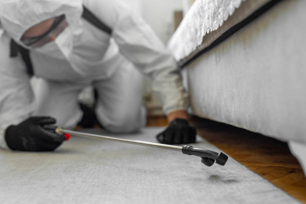 Professional Ant Control technician working in Uhland, TX